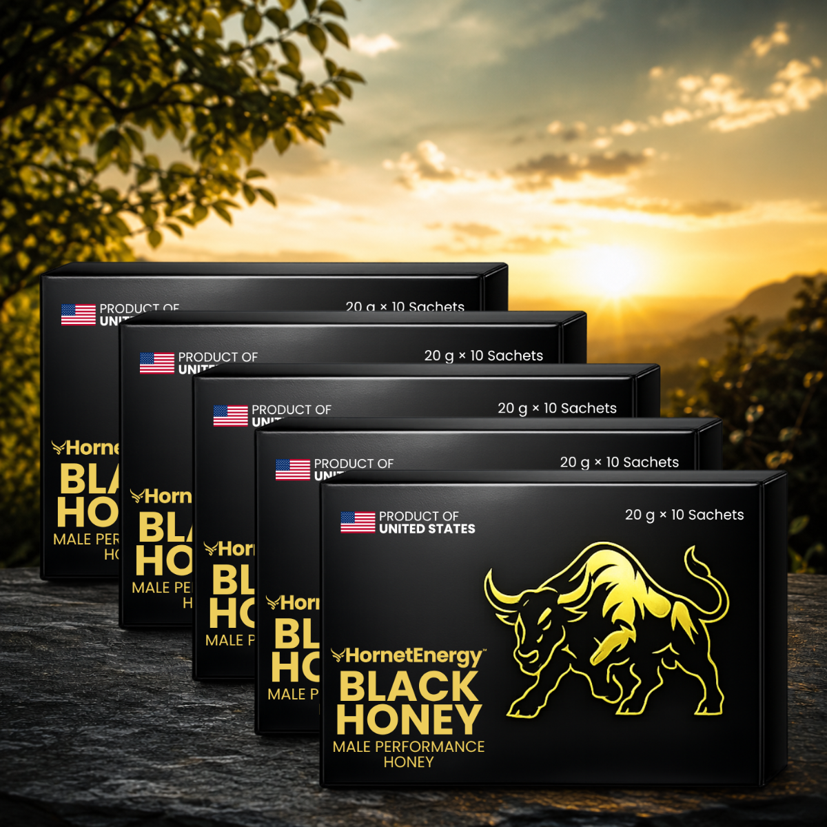 HornetEnergy US - Pinterest