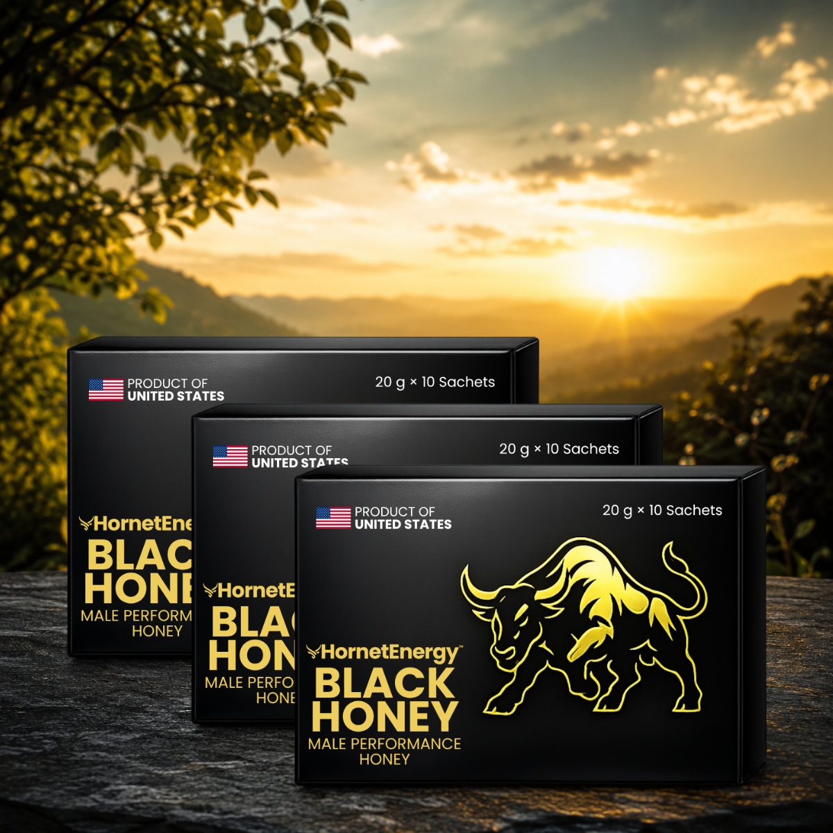 HornetEnergy US - Pinterest