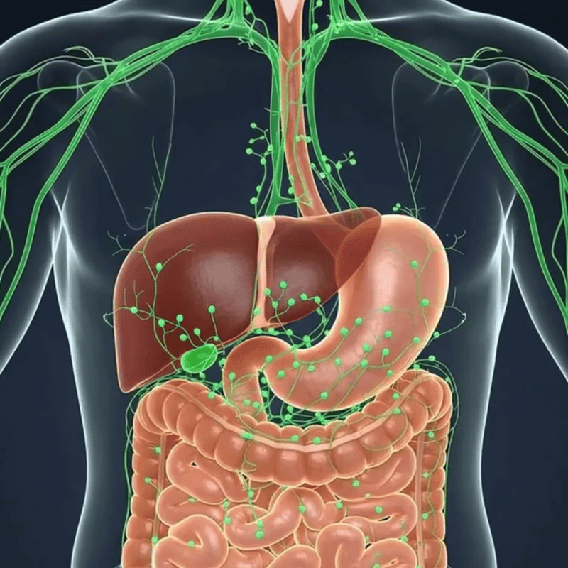 Lymphoria CH